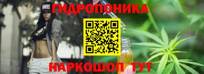 apvp Камышлов