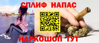 apvp Камышлов