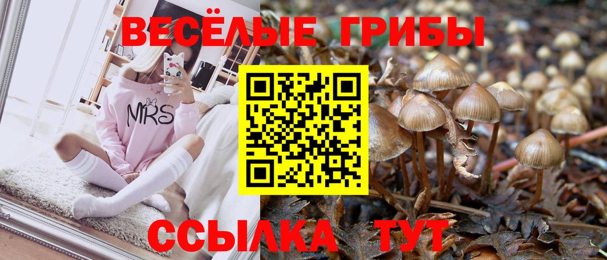 Галлюциногенные грибы ЛСД Донецк