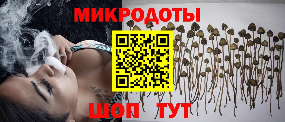 Донецк  Галлюциногенные грибы Magic Shrooms  Вход с VPN 
